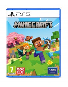 PS5 - Minecraft